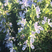 Profile Picture of Kate Allen (@kateallen6754) on Youtube