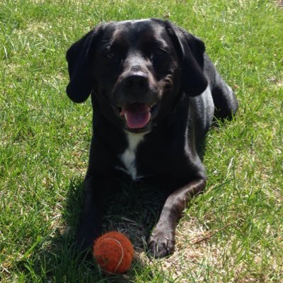 Profile Picture of Mike Hoppe (@mwhoppe) on Twitter