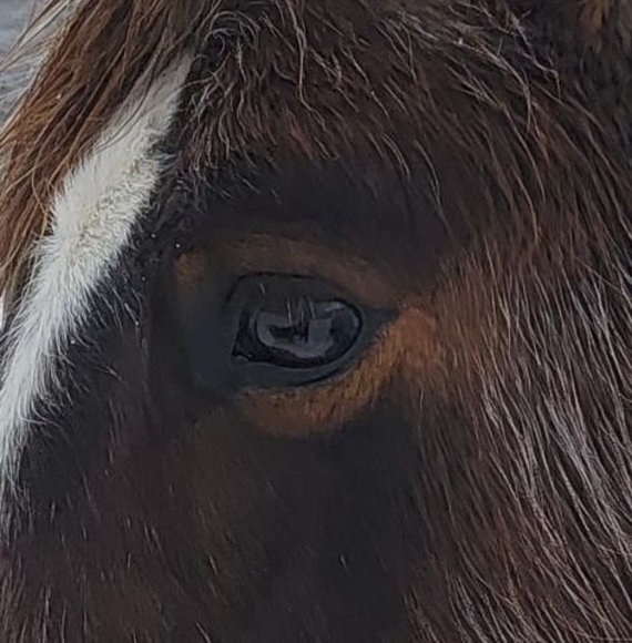 Profile Picture of Barb Ruwoldt dunn (@bdunn918) on Poshmark