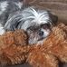 Profile Picture of Robin MacNeil (@robin.macneil.505) on Facebook