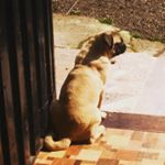 Profile Picture of tomas_carrillo2020 (@tomas_carrillo2020) on Instagram