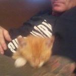 Profile Picture of Phillip Kool Saylor (@phillipsaylor) on Instagram