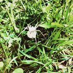 Profile Picture of robert abbott (@robertabbott902) on Instagram