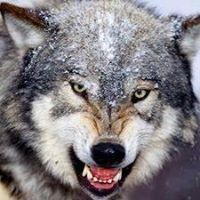 Profile Picture of Clint Fredrickson (@clint-fredrickson) on Quora