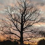 Profile Picture of steve riggs (@riggs7765) on Instagram