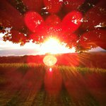 Curt Mays - Instagram Profile Picture of Curt Mays (@gatoslashrat) on Instagram