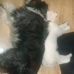 Profile Picture of Christopher Fenech (@deanfen1) on Instagram