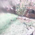 Profile Picture of Andrew Gavin (@devilliersandrew74) on Instagram