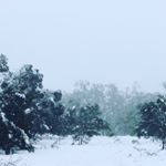 Profile Picture of David Bensley (@davidben_photography) on Instagram