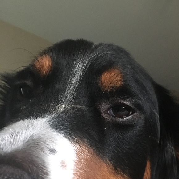 Profile Picture of Sean Mcgee (@smcgee85) on Poshmark