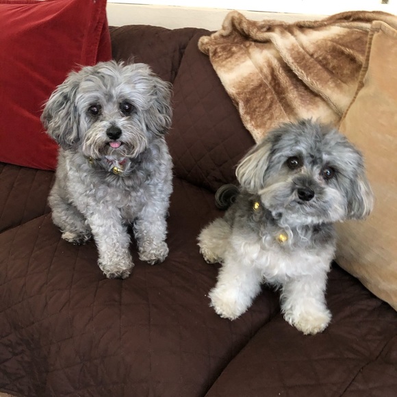 Profile Picture of Alicia Delgado (@shrink131) on Poshmark