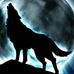 Profile Picture of Joseph Mathers (Frost Wolf ) (@joseph.mathers.50) on Facebook