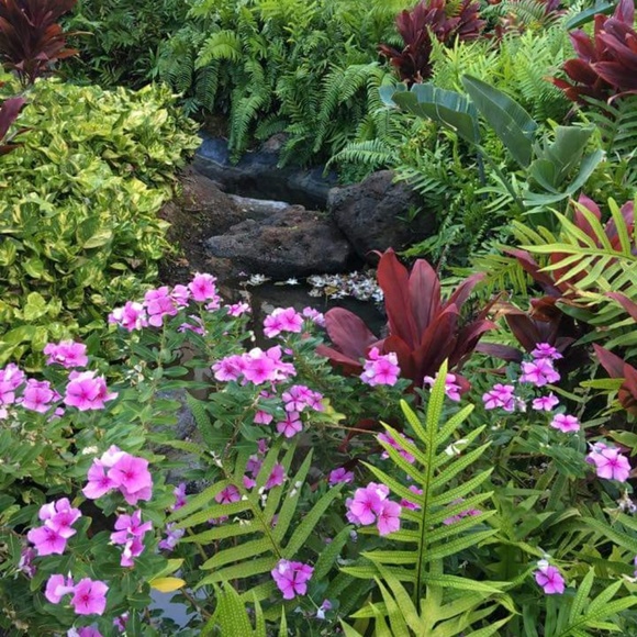 Profile Picture of Trudy Zilles (@trudyzilles2020) on Poshmark