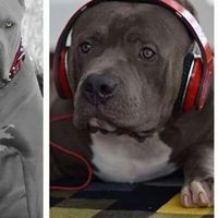 Profile Picture of Robert Vanbibber (@robert-vanbibber-4) on Quora