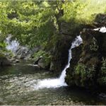 Profile Picture of Gidane 13 🍀⚔️ (@gidane1313) on Instagram