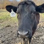 Jacob Landes - Facebook Profile Picture of Jacob Landes (@jacob.landes.2025) on Facebook