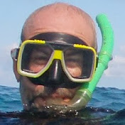 Profile Picture of Jose H Muelbert (@jmuelbert) on Youtube