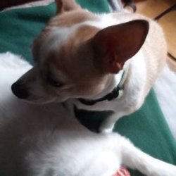 Profile Picture of Nancy Winner (@NancyWinner7) on Twitter