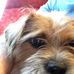 Profile Picture of Patrick Mcgivern (@patrick.mcgivern.961) on Facebook