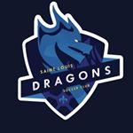 Profile Picture of Elvir Kafedzic (@stldragons_) on Instagram
