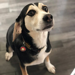 Profile Picture of James Quinn (@jamesquinn101) on Flickr