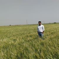 Profile Picture of Gajanan Patil (@gajanan-patil-56) on Quora