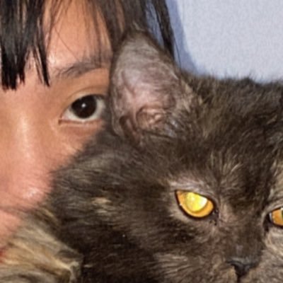 Profile Picture of Sakurajima (@LjLaude) on Twitter