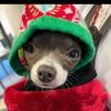 Profile Picture of Kendra Key (@@kendrakey34) on Tiktok