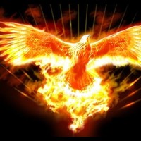 Profile Picture of Gabriel Yeung (@gabriel-yeung-2) on Quora