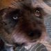 Profile Picture of Phyllis Mcfadden (@phyllis.mcfadden.14) on Facebook
