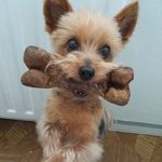 Profile Picture of David Jedlička (@david.jedlicka.1088) on Instagram