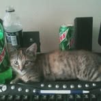 Profile Picture of Dustin McConaughey (@dustin.mcconaughey) on Facebook