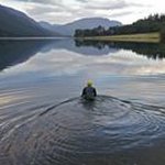 Dave Freeland - Instagram Profile Picture of Dave Freeland (@freelanddave) on Instagram