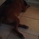 Profile Picture of Barry Halpin (@barry_halpin) on Instagram