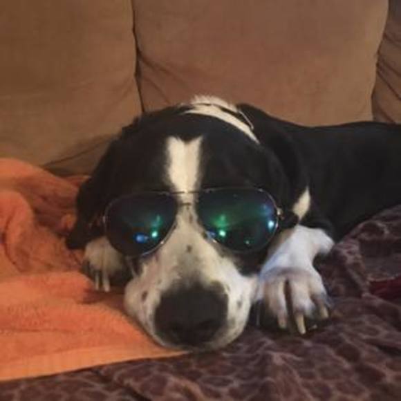 Profile Picture of Jayden Meteraud (@fadingaurora417) on Poshmark