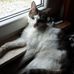 Profile Picture of Franz Muthig (@franz.muthig.3) on Facebook