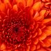 Profile Picture of Mary Keeble (@mary.keeble.921) on Facebook