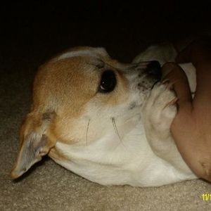 Profile Picture of Scott Abbott (@wiser_time) on Myspace