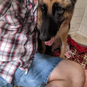 Profile Picture of Wayne Stan (@waynestan5576) on Youtube