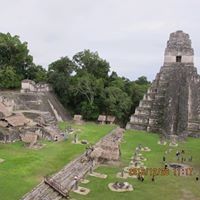 Profile Picture of Misako Ota (@misajun3350) on Pinterest