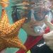 Profile Picture of Kevin Cayer (@kevincayer) on Pinterest