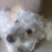 Profile Picture of Peter Krauser (@peter.krauser.77) on Facebook