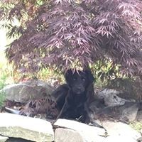 Profile Picture of Robin Rodweller-underhill (@robin-rodweller-underhill) on Quora