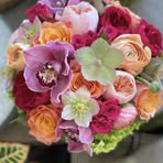 Profile Picture of Albert Shawn (@Albert-Shawn) on Facebook