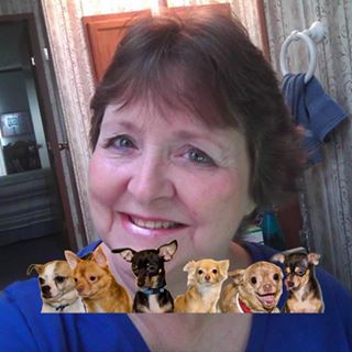 Profile Picture of Barbara Cadwell (@barbara.cadwell.7) on Facebook