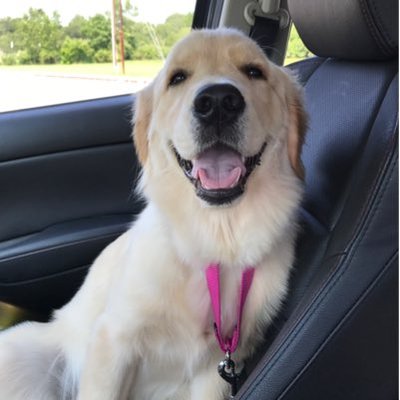 Profile Picture of Brian Bierman (@Beermano74) on Twitter