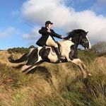 Profile Picture of Michael Laird (@michael.laird.9809) on Instagram