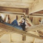 Profile Picture of thomas shippy (@shipwrrack42) on Instagram