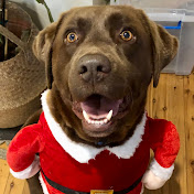 Profile Picture of Scott Davey (@scottdavey4251) on Youtube