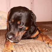 Profile Picture of Elena Gusarova (@elenagusarova2380) on Youtube